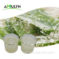 Alimentos en cubos de gel de aloe vera para bebidas gelatinosas